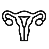 Gynaecology & Obstetrics